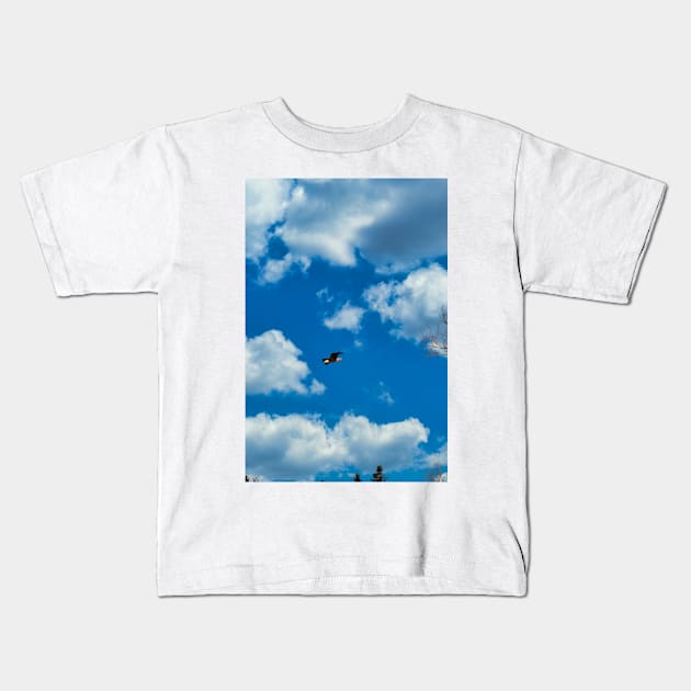 Free as An Eagle Kids T-Shirt by rconyard